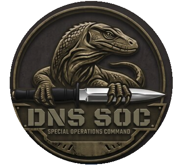 DNS-SOC